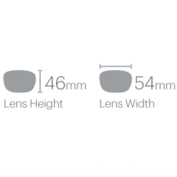 SMITH Everyday Sunglasses in Cheetah